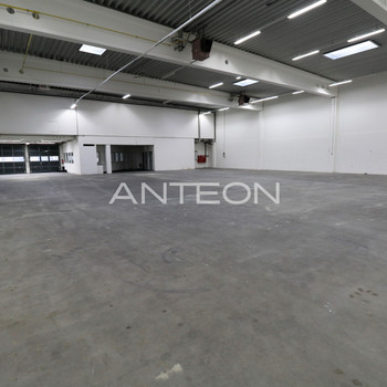 Lager + Büro | Rampen & ebenerdig | 7,5 m UKB