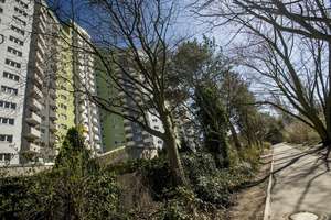 Geräumige Wohnung im Senftenberger Ring – Senftenberger Ring 86, 13435 Märkisches Viertel, Berlin – Vorschaubild 4