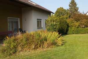 Großes EFH mit ELW und schönem Garten – Amberg-Sulzbach (Kreis) – Vorschaubild 4