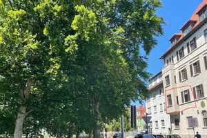  5-Gehminuten von der Donau entfernt: 3-Zimmer Wohnung mit EBK im Grünen – Wielandstraße 33, 89073 Ulm – Vorschaubild 1