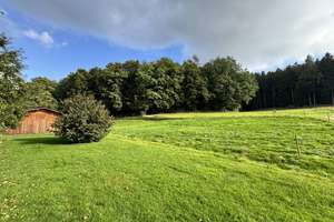 Einzigartiger Pferdehof in traumhafter Alleinlage – Naturparadies mit Wiesen, Wald und Pferdehaltung – Die vollständige Adresse der Immobilie erhältst du vom Anbieter., 84533 Marktl – Vorschaubild 58