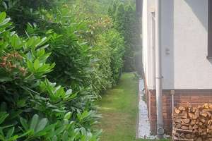 Großzügiges Einfamilienhaus auf verstecktem Gartengrundstück in Berlin-Frohnau – Die vollständige Adresse der Immobilie erhältst du vom Anbieter., 13465 Frohnau, Berlin – Vorschaubild 6