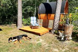 Zwei Ferienbungalows mit Fasssauna am Pinnower See - Reserviert – Spree-Neiße (Kreis) – Vorschaubild 27
