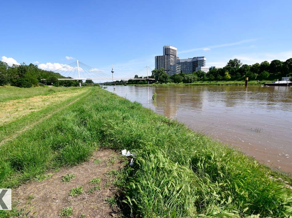 Den Neckar vor der Haustür