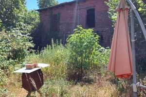 Haus am See von privat – Burgkühnauer Straße 19, 6846 Dessau-Roßlau – Vorschaubild 7
