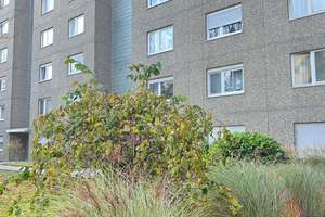Charmantes 1-Zimmer-Apartment in Toplage von Mainz-Marienborn – ideal zur Eigennutzung oder als Kapi – Die vollständige Adresse der Immobilie erhältst du vom Anbieter., 55127 Marienborn, Mainz – Vorschaubild 9