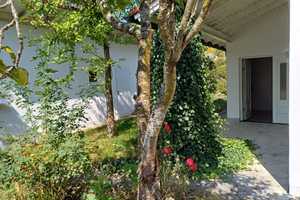*** GEPFLEGTE DHH mit GARTEN - in einer ruhiger Sackgasse gelegen*** – Freyung-Grafenau (Kreis) – Vorschaubild 9