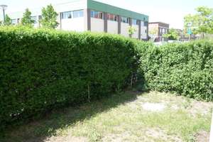 2 Zimmer Wohnung im Kirchsteigfeld – Lise-Meitner-Str. 9, 14480 Kirchsteigfeld, Potsdam – Vorschaubild 3