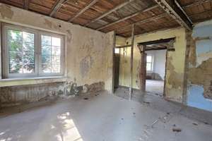 Großzügiges Haus mit Anbau voller Möglichkeiten – 40225 Bilk, Düsseldorf – Vorschaubild 5