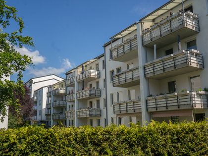 Wohnung Mieten In Lebenstedt Immobilienscout24