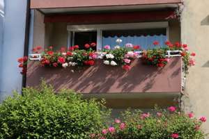 Gepflegte 2-Zimmer-Wohnung mit sonniger Loggia – Bingener Straße 1, 80993 Alt-Moosach, München – Vorschaubild 13
