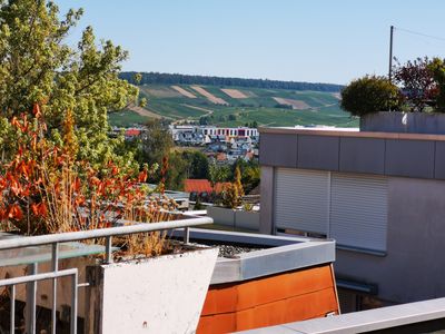 2-Zimmer-Wohnung; Terrasse; EBK; Fahrstuhl; Tiefgarage in Weinsberg