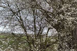 Biete helle 2-Zimmer-Wohnung im Souterrain in Weiterstadt von privat