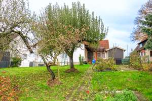 Property thumbnail 19