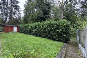 Provisionsfrei! Toller Garten, 180 m² Wohnfläche! – Wiesbaden – Vorschaubild 9