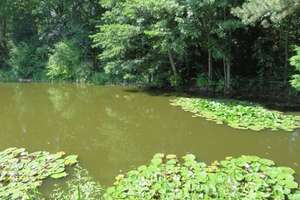 *Resse* großzügige Architektenvilla direkt am Teich und Waldrand. – Die vollständige Adresse der Immobilie erhältst du vom Anbieter., 30900 Wedemark – Vorschaubild 12