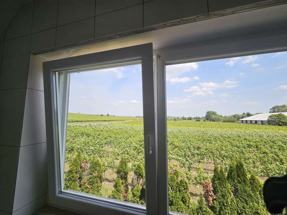 06_Blick_aus_Bad