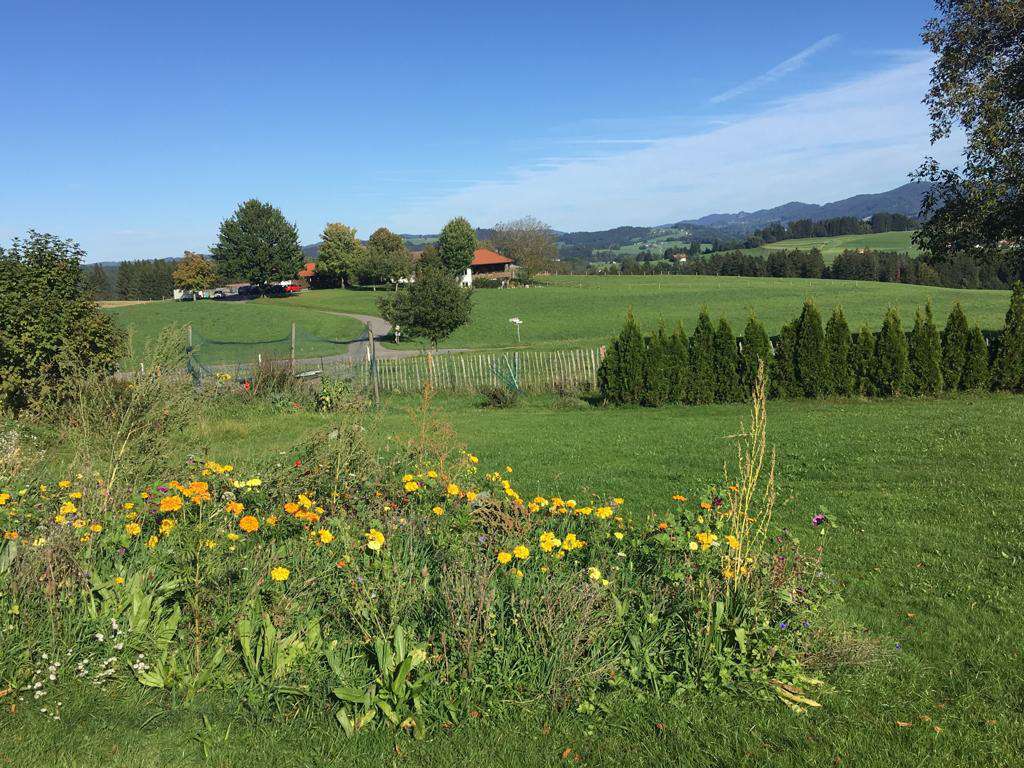 Immobilie in Heimenkirch - Ehemaliger Bauernhof in toller Lage mit Bergblick! - Bild 4