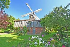 Historische Windmühle mit 2 separaten Wohneinheiten – Die vollständige Adresse der Immobilie erhältst du vom Anbieter., 25842 Bargum – Vorschaubild 5