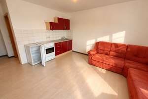 Bezugsfreie 1-Zimmer-Wohnung mit Einbauküche, Teilmöblierung & Stellplatz – 67069 Oppau, Ludwigshafen am Rhein – Vorschaubild 2