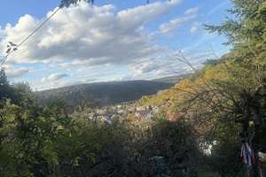 Haus mit Einliegerwohnung in Mosbach – Die vollständige Adresse der Immobilie erhältst du vom Anbieter., 74821 Mosbach – Vorschaubild 9