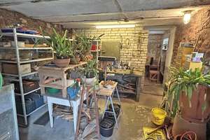 Wohnhaus mit Scheune und großem Grundstück – ideal für Schrauber, Bastler und Gartenliebhaber – Die vollständige Adresse der Immobilie erhältst du vom Anbieter., 64711 Erbach – Vorschaubild 23