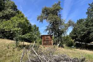 Pferdehof / Bauernhof mit 18.000 m2 nähe Tittling TOP LAGE an der B-85 – Die vollständige Adresse der Immobilie erhältst du vom Anbieter., 94163 Saldenburg – Vorschaubild 23