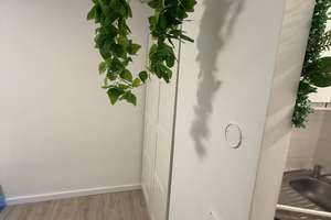 Möblierte Wohnung Nähe Johannes Gutenberg Universität/ Hauptbahnhof Mainz + Parkplatz (bei Bedarf) – Richard-Schirrmann-Straße 10, 55122 Hartenberg-Münchfeld, Mainz – Vorschaubild 10