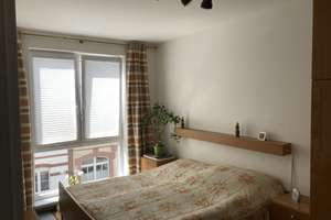 Ruhige, barrierefreie Wohnung nahe Nordpark, südl. Ilversgehoven, gut für Senioren  – Die vollständige Adresse der Immobilie erhältst du vom Anbieter., 99086 Ilversgehofen, Erfurt – Vorschaubild 3