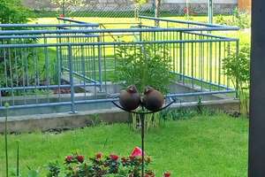 Property thumbnail 7