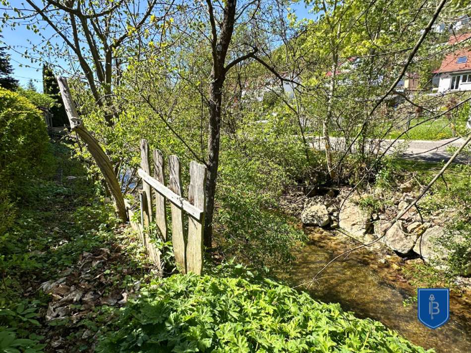 Bach (Elsach) hinter dem Haus