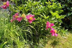 Property thumbnail 23