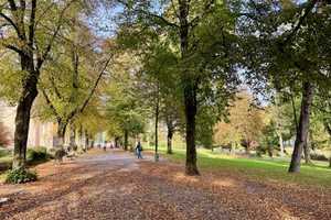 Am Fuß der Rüttenscheider Str./ Stadtgarten - 2-Zimmer-City-Wohnung – Admiral-Scheer-Str. 32, 45128 Essen – Vorschaubild 16