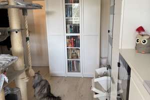 Property thumbnail 5