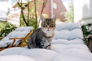 Property thumbnail 36