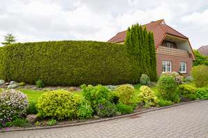 Gepflegtes Einfamilienhaus mit parkähnlichem Garten in bester Lage von Bunde! – Die vollständige Adresse der Immobilie erhältst du vom Anbieter., 26831 Bunde – Vorschaubild 2