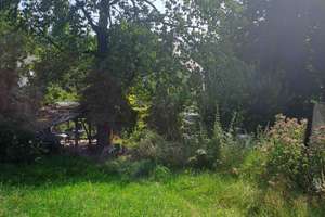 Eigentumswohnung mit 1800 m²  natürlichen Garten – Die vollständige Adresse der Immobilie erhältst du vom Anbieter., 33699 Stieghorst, Bielefeld – Vorschaubild 23