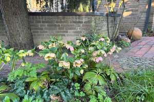 Charmantes EFH in Greven mit besonderer Architektur, Wellnessbereich und wunderschönem Garten! – Die vollständige Adresse der Immobilie erhältst du vom Anbieter., 48268 Greven – Vorschaubild 6
