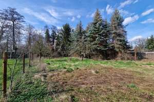 Willkommen in Mosigkau – Anhalter Straße 32, 6847 Mosigkau, Dessau-Roßlau – Vorschaubild 29