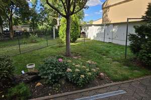 Property thumbnail 19