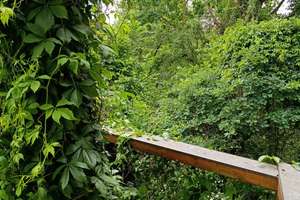 Idyllisch wohnen in Erlangen: 4,5-Zimmer-Einfamilienhaus mit Garten – Langezeile 90c, 91052 Sieglitzhof, Erlangen – Vorschaubild 12