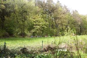 Ihr neues strahlungsarmes Heim in ruhiger Aussichtslage von Mühringen – Die vollständige Adresse der Immobilie erhältst du vom Anbieter., 72160 Horb am Neckar – Vorschaubild 13