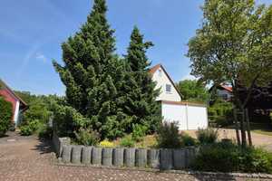 Gepflegtes freistehendes EFH am Elm mit Doppelgarage und Garten – Frickenkamp 8, 38170 Wolfenbüttel (Kreis) – Vorschaubild 3