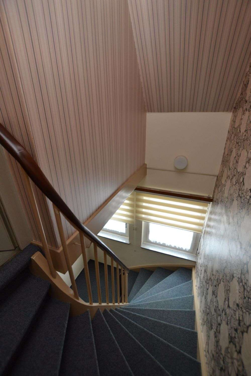 Immobilie in Eschershausen - Zweifamilienhaus in 37632 Eschershausen mit Möglichkeit zur Mischnutzung Wohnen/Büro/Praxis! - Bild 15