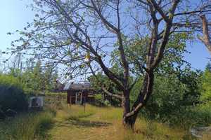 Property thumbnail 14