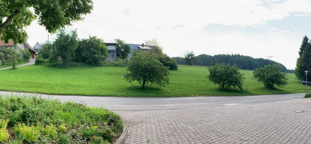 Immobilie in Bad Teinach-Zavelstein - Bestpreisgarantie bei BIEN-ZENKER EVOLUTION 161 V3 mit Bauplatz - Bild 1