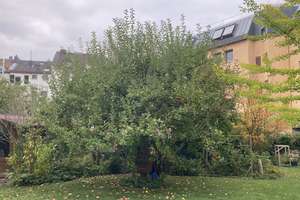 79-m²-Wohnung mit Blick auf das Marschiertor – barrierearm, Aufzug, Mehrgenerationenhaus, von privat – Friedlandstraße 12, 52066 Marschiertor, Aachen – Vorschaubild 27