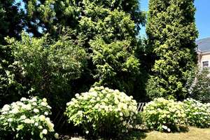 Property thumbnail 19