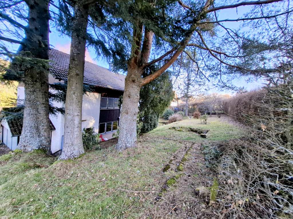 Immobilie in Baiersbronn - Ruhige und naturnahe Top Lage in Baiersbronn - Bild 1