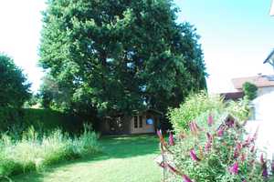 3-Familienhaus in idyllischer Straßenendlage-Mit viel Sonne, Platz, großem Garten und viel Potential – Kaufbeuren – Vorschaubild 3